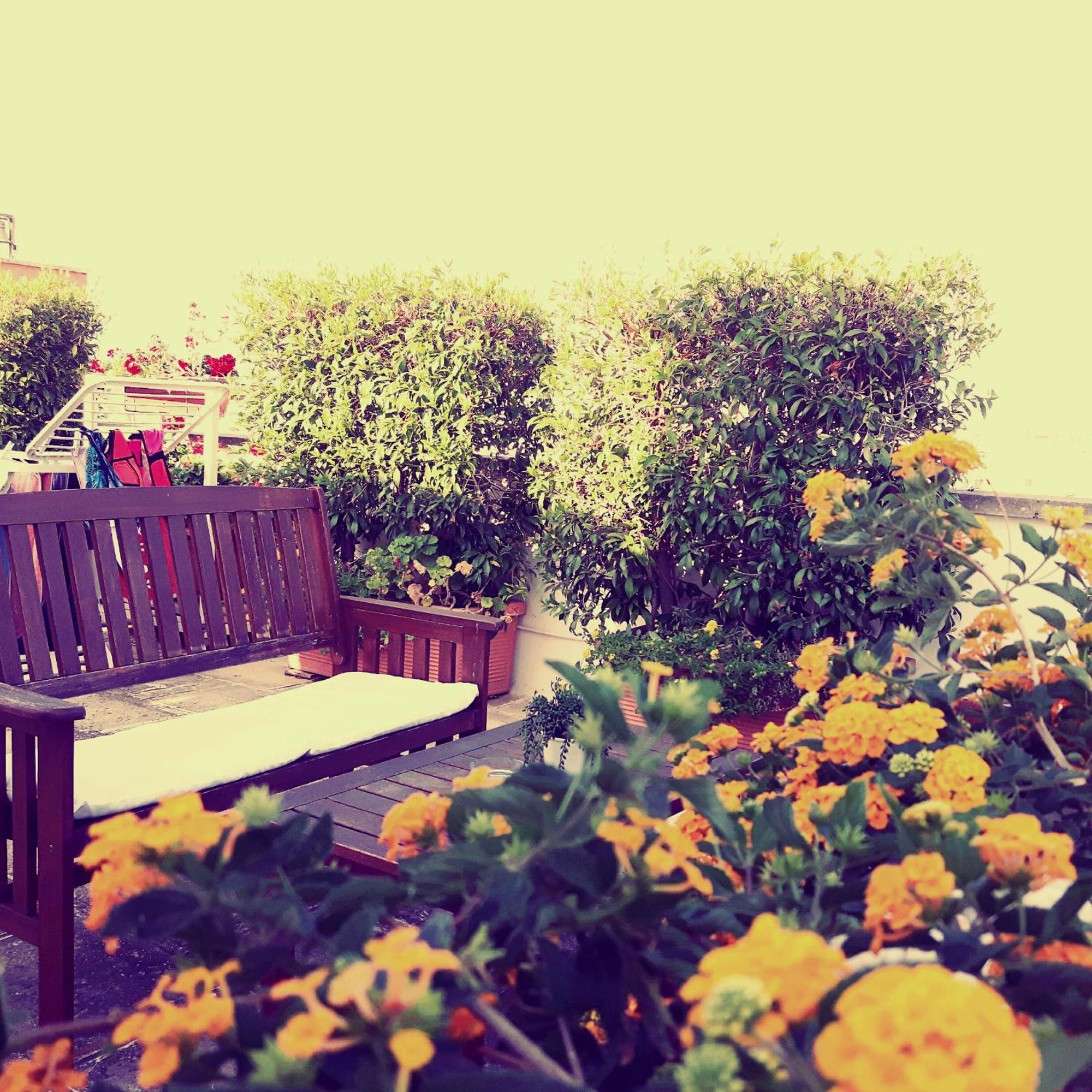 B&B Corte Regina Esther Veglie Dış mekan fotoğraf